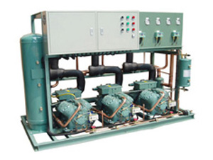 蒸發(fā)冷螺桿低溫機(jī)組三機(jī)頭