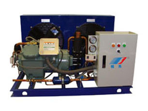 風(fēng)冷活塞冷凝機組（低溫雙級）