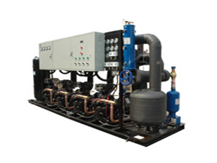 蒸發(fā)冷螺桿低溫機組