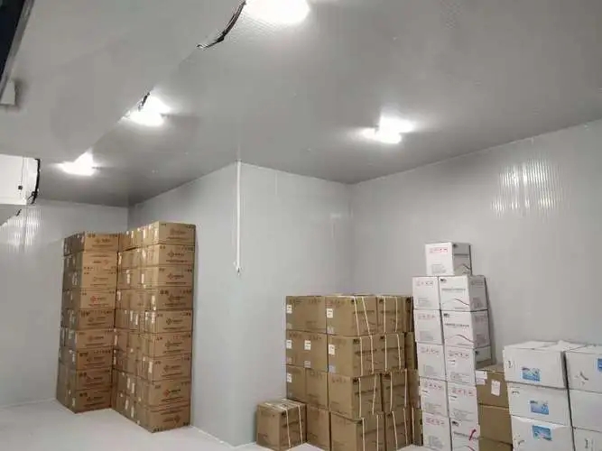 u=2451142835,3732451936&fm=253&fmt=auto&app=138&f=JPEG.webp.jpg u=2451142835,3732451936&fm=253&fmt=auto&app=138&f=JPEG.webp.jpg